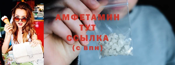гидра Каменногорск