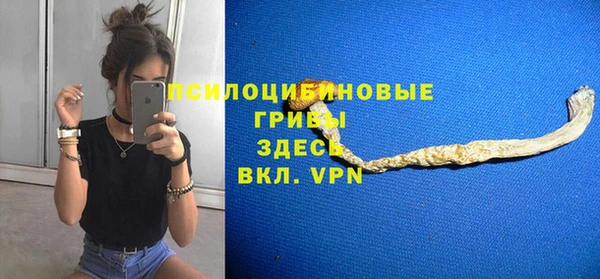 гидра Белоозёрский