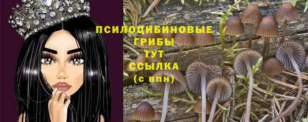 гидра Белоозёрский