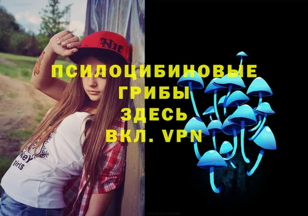 соль ск Белокуриха
