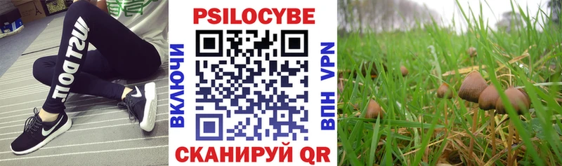 наркошоп  Володарск  Галлюциногенные грибы Cubensis 